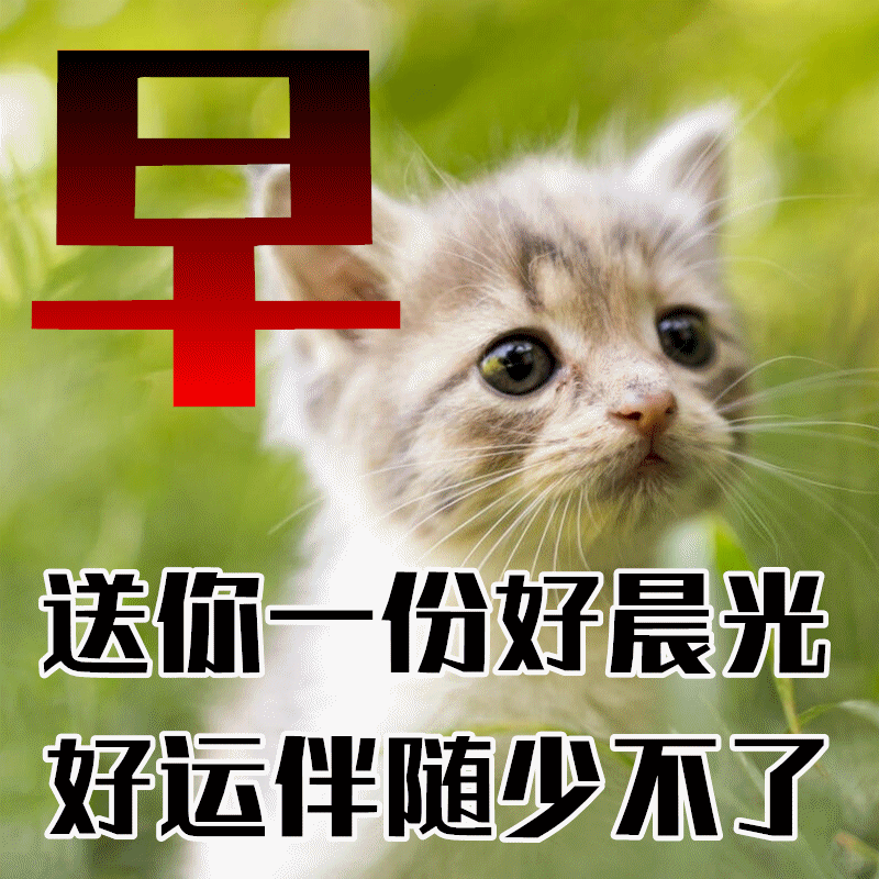 3月11日龙抬头早上好祝福语图片大全<strong></p>
<p>理财图片大全</strong>，问候动态表情图片大全