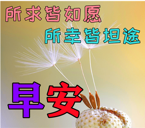 今日最新早上好表情图片大全