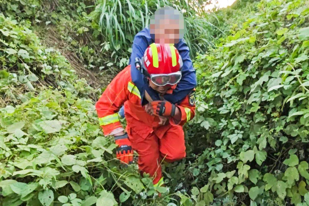 郴州800斤疯牛跑出后顶着屠宰工人一路上山又撞下山<strong></p>
<p>最近理财</strong>，已被击毙