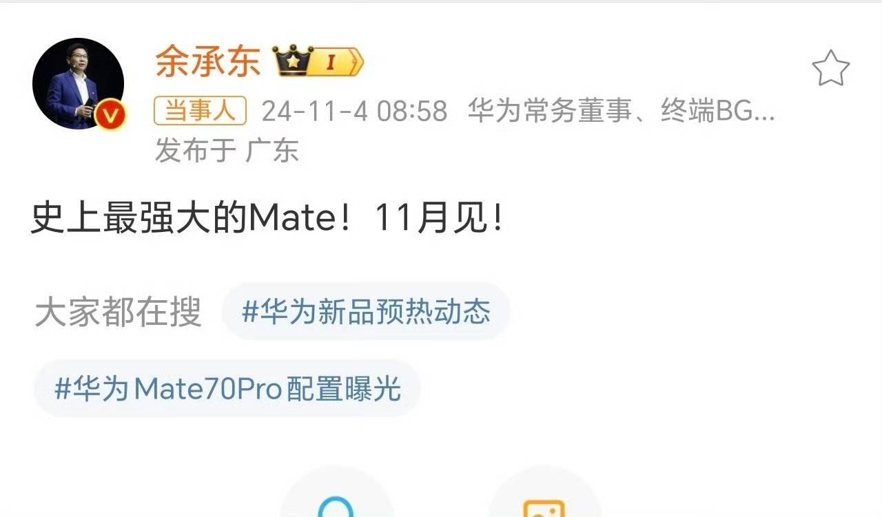 华为Mate 70官方图曝光？标注售价8599<strong></p>
<p>华夏理财险</strong>，网友：这价格有点假了