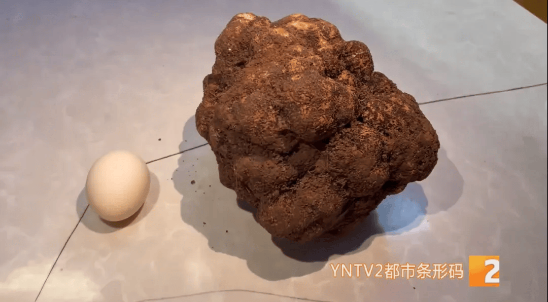昆明一村民挖到1.7公斤超大松露<strong></p>
<p>银行投资理财</strong>！“看都看不够”