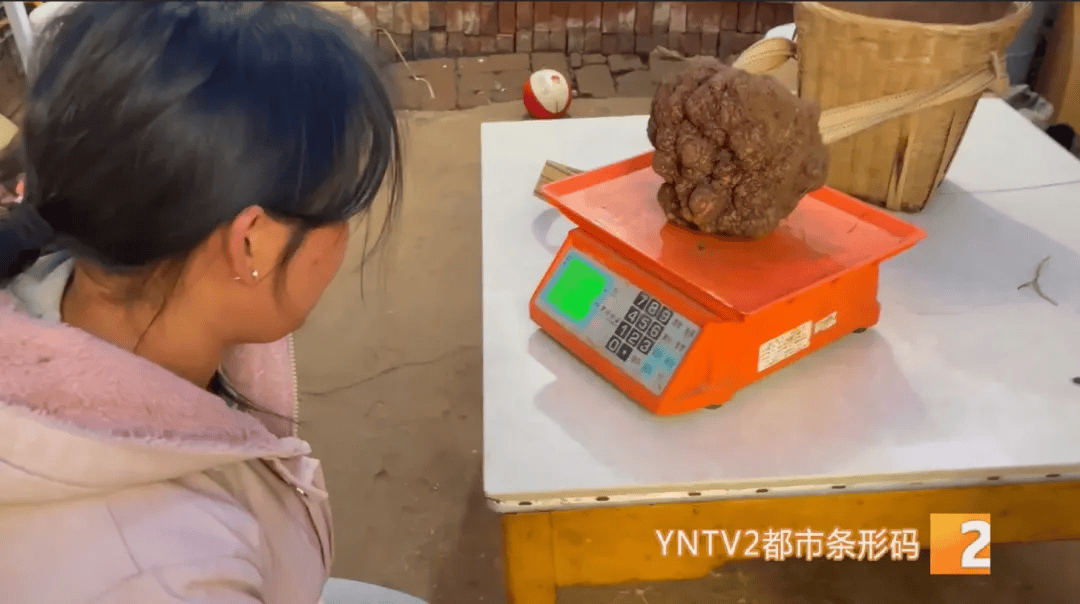 昆明一村民挖到1.7公斤超大松露<strong></p>
<p>银行投资理财</strong>！“看都看不够”