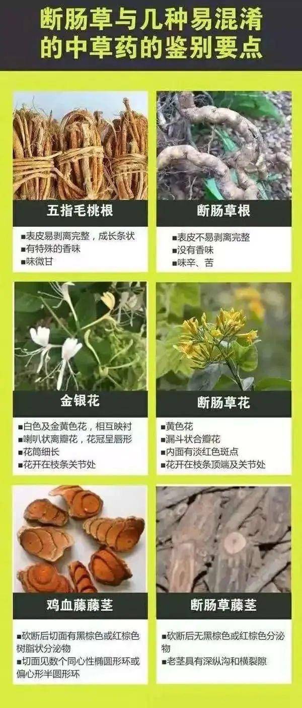 广东一老人买药材煲汤中毒身亡 当地：店铺误售断肠草<strong></p>
<p>最近的理财</strong>，老板被拘留