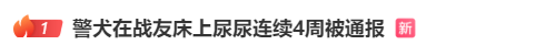 “上班死气沉沉、下班魅力四射”<strong></p>
<p>理财最高</strong>，警犬被通报
