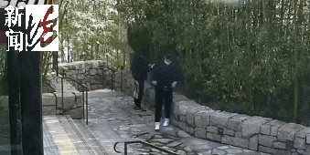 太猖狂！事发上海迪士尼<strong></p>
<p>怎么网上理财</strong>，7人被刑拘