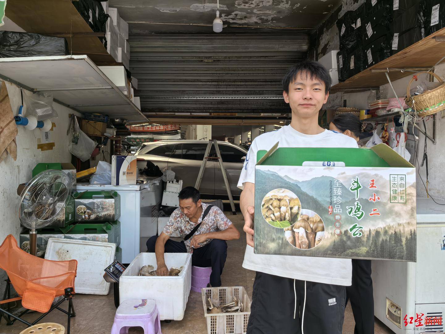 “天价”鸡枞调查：最贵卖到1800元/公斤！雨水少致产量低<strong></p>
<p>权益理财</strong>，多地价高客少