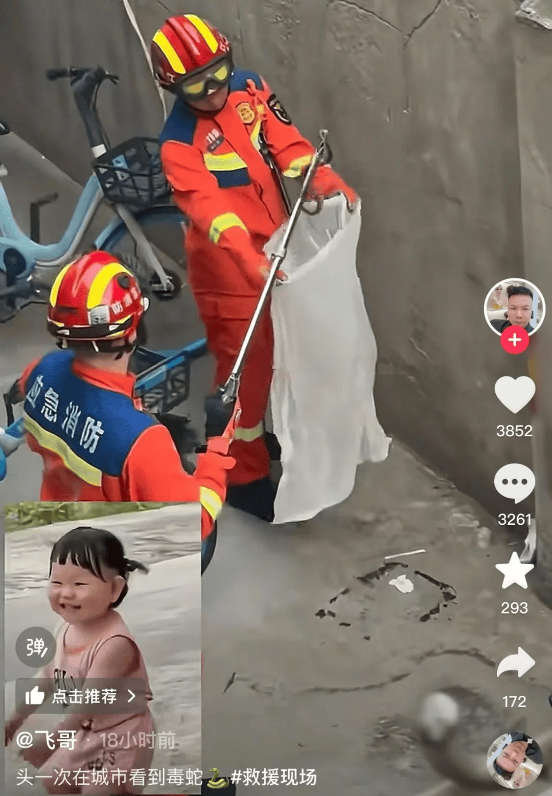 无锡市中心发现毒蛇？消防出动<strong></p>
<p>金融理财基础</strong>！医生紧急提醒！
