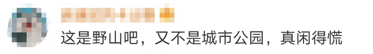 大片连根铲除！深圳一公园“火速响应”引质疑<strong></p>
<p>体验金理财</strong>，网友为它喊冤