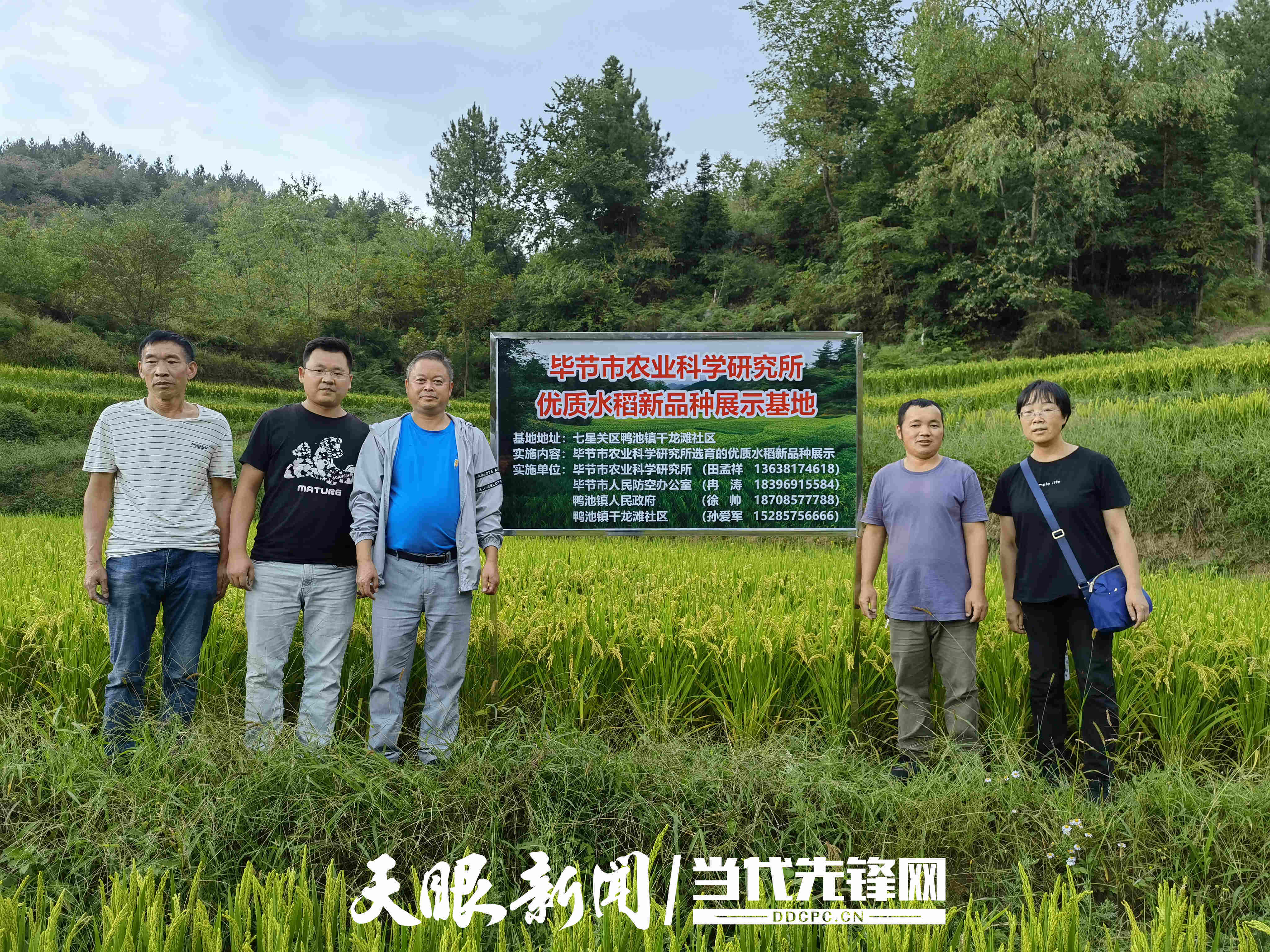 扎根基层<strong></p>
<p>理财新浪</strong>！他用初心交出一份有温度的答卷