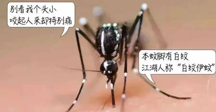 风险增大<strong></p>
<p>江西银行理财</strong>！深圳疾控：去这247处要小心！张文宏首次发声