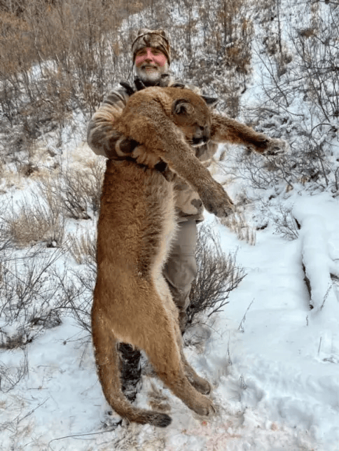 美国百万富翁在南非参加高端付费狩猎活动<strong></p>
<p>蓝鲸理财课</strong>，被水牛顶死