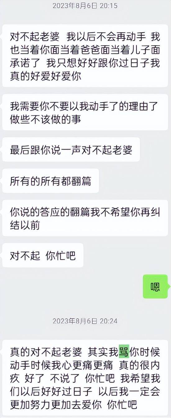 “儿子备考的大学需政审<strong></p>
<p>理财稳健</strong>，母亲怕影响孩子默默忍受家暴”？当事女子回应：事实有出入