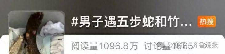 安徽宣城一男子走路玩手机<strong></p>
<p>理财稳健</strong>，一脚踩中打架的竹叶青和五步蛇，被俩毒蛇咬3口！医院：暂无生命危险，正在治疗