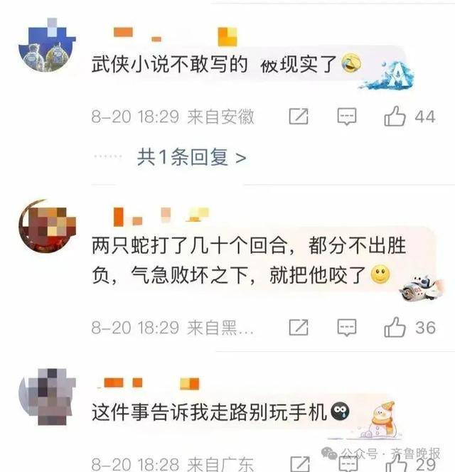 安徽宣城一男子走路玩手机<strong></p>
<p>理财稳健</strong>，一脚踩中打架的竹叶青和五步蛇，被俩毒蛇咬3口！医院：暂无生命危险，正在治疗