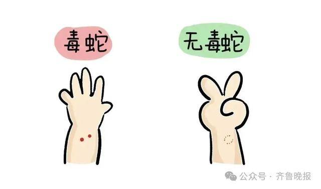安徽宣城一男子走路玩手机<strong></p>
<p>理财稳健</strong>，一脚踩中打架的竹叶青和五步蛇，被俩毒蛇咬3口！医院：暂无生命危险，正在治疗