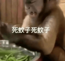 能不能让蚊子彻底灭绝啊<strong></p>
<p>理财稳健</strong>？科学家：正在努力