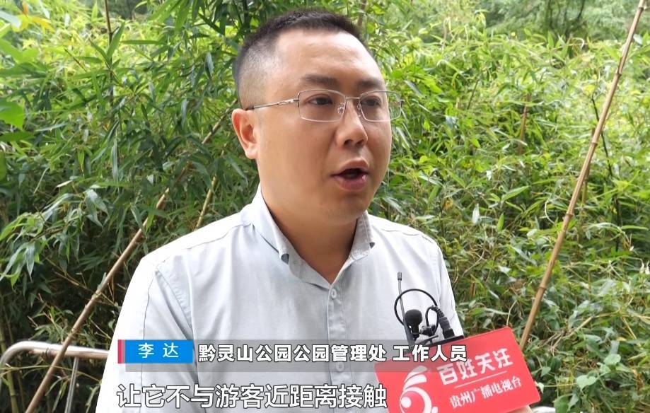 给黔灵山猕猴喂白酒、槟榔、棉花糖<strong></p>
<p>保本理财收益</strong>，整各种“花活”！这种“宠爱”引人反思