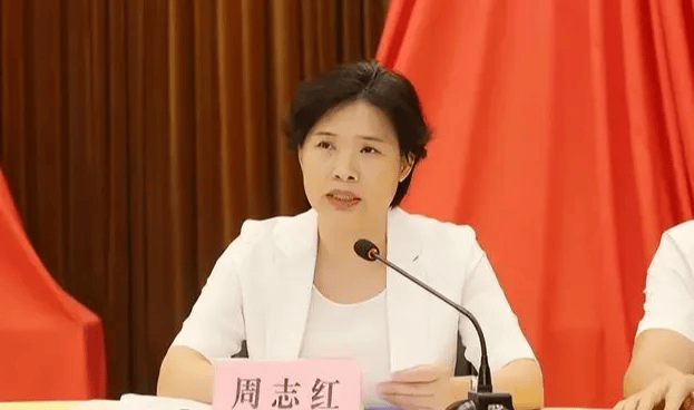 中共中央批准<strong></p>
<p>理财投资排行榜</strong>，开除周志红党籍