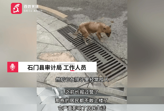 保安称“经常咬人”打死流浪犬<strong></p>
<p>成都理财</strong>，居民上门讨说法：这个门卫穷凶极恶