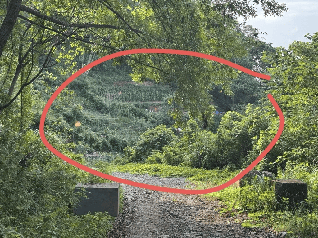 杭州女子误踩“化骨水”身亡<strong></p>
<p>理财软件排行</strong>，当地：已锁定化学品所有者，发现三桶，一桶完整，两桶残余