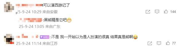 安徽一动物园黑熊披袈裟站立引游客质疑<strong></p>
<p>菠菜理财</strong>，工作人员：是真熊，人工饲养易出现仿人行为