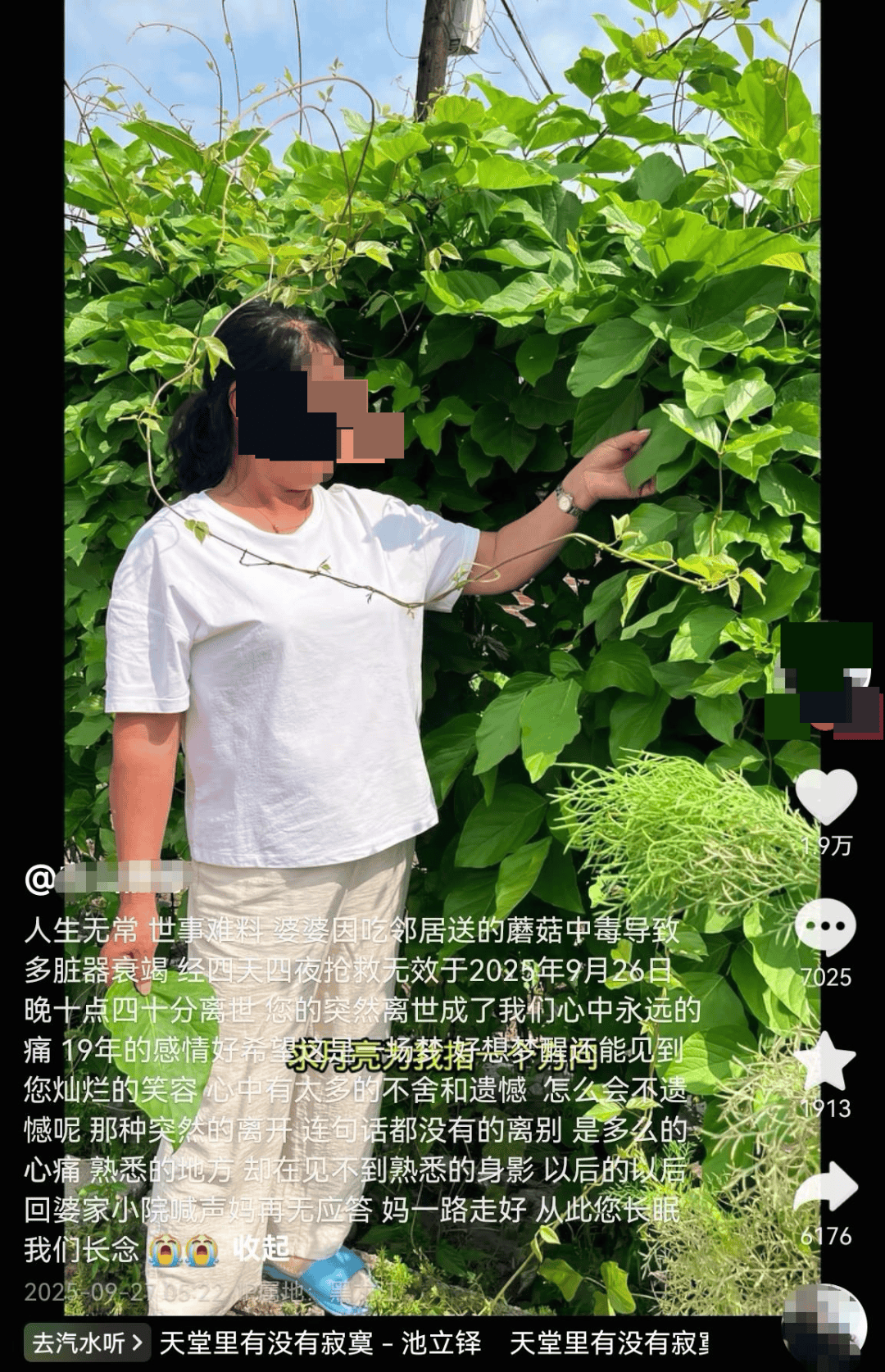网红发文悼念婆婆：吃了邻居送的蘑菇中毒<strong></p>
<p>金融理财师考试</strong>，抢救四天四夜死亡！这些蘑菇避毒原则可能是陷阱→