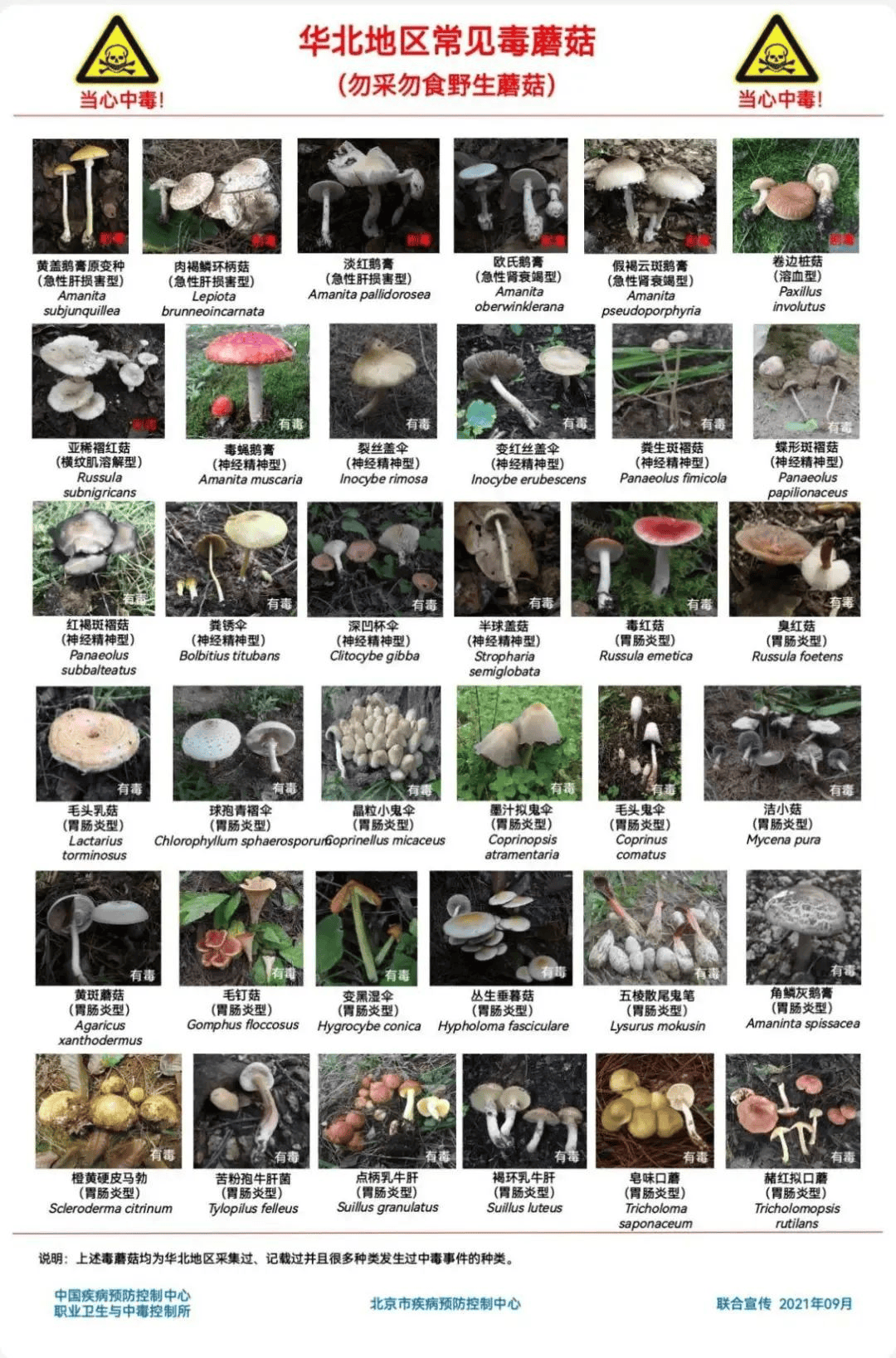 网红发文悼念婆婆：吃了邻居送的蘑菇中毒<strong></p>
<p>金融理财师考试</strong>，抢救四天四夜死亡！这些蘑菇避毒原则可能是陷阱→