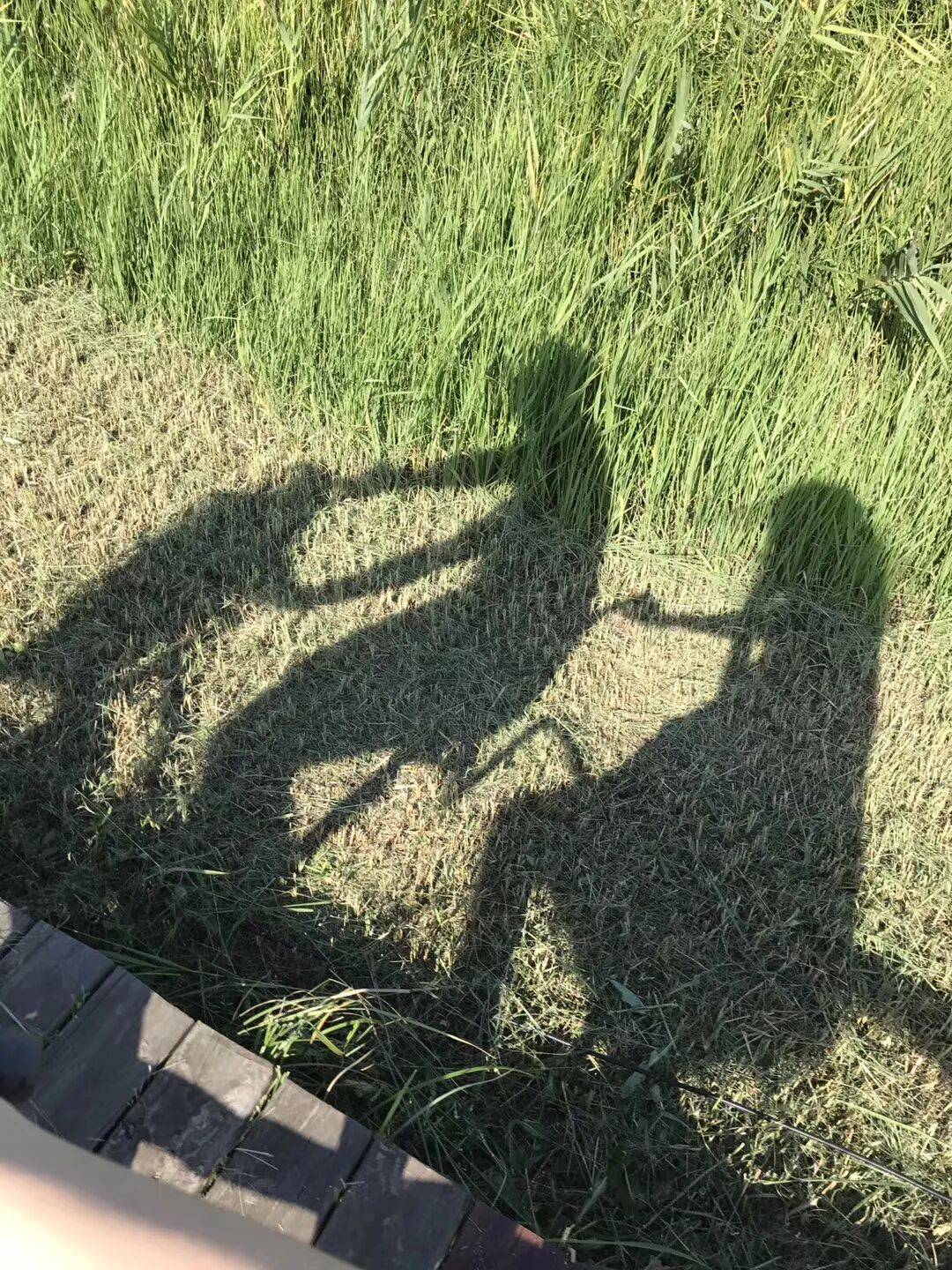纸质火车票退场<strong></p>
<p>凤凰金融理财</strong>，每道折痕里都藏着远方、爱情与山河记忆