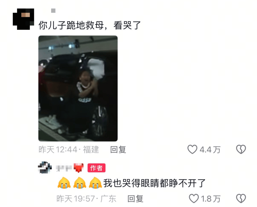 10岁男孩跪地拦车哭求“救救妈妈”<strong></p>
<p>理财风险</strong>，感动全网！其母发声
