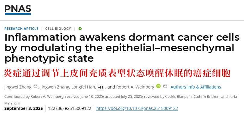 长期炎症会“唤醒”癌细胞<strong></p>
<p>理财风险</strong>！这份抗炎指南每个人都该看看