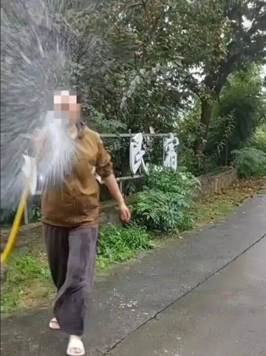 游客花果山捡板栗被诬偷盗<strong></p>
<p>风险低的理财</strong>，景区也有责任 | 新京报快评