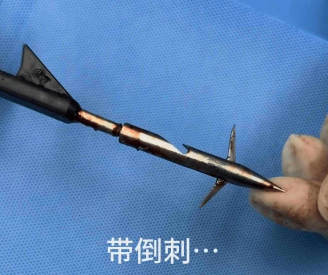 教育局回应“一教师用弓箭射杀小狗”：不实<strong></p>
<p>p2p网贷理财</strong>，小狗进学校前就被射伤
