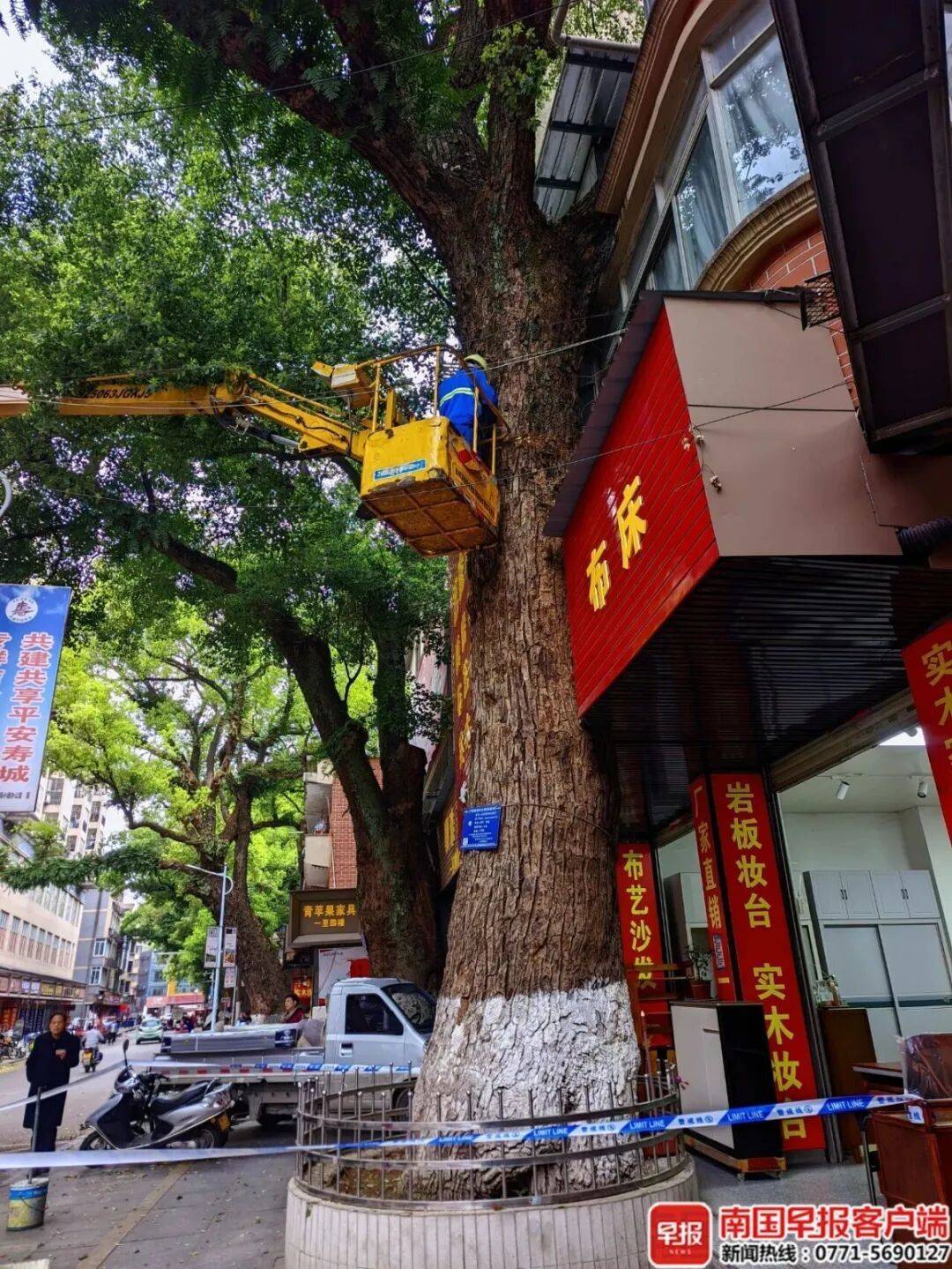 自家房屋采光被遮挡<strong></p>
<p>公募理财</strong>，广西贺州一男子给220年珍贵古树多次投毒！
