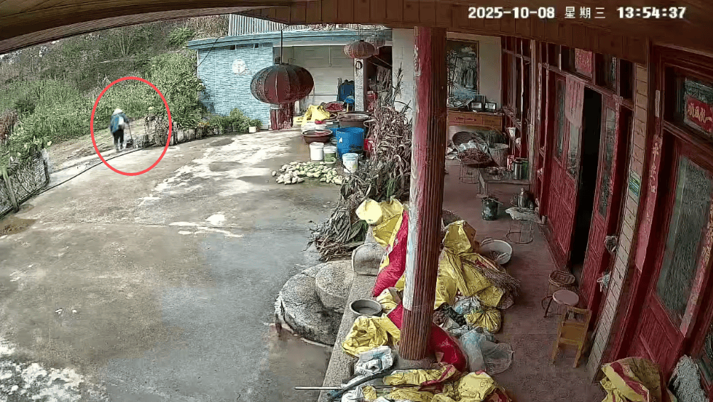 93岁老人进山失联<strong></p>
<p>理财pdf</strong>，两天后发现他倒挂在树杈上苦撑……