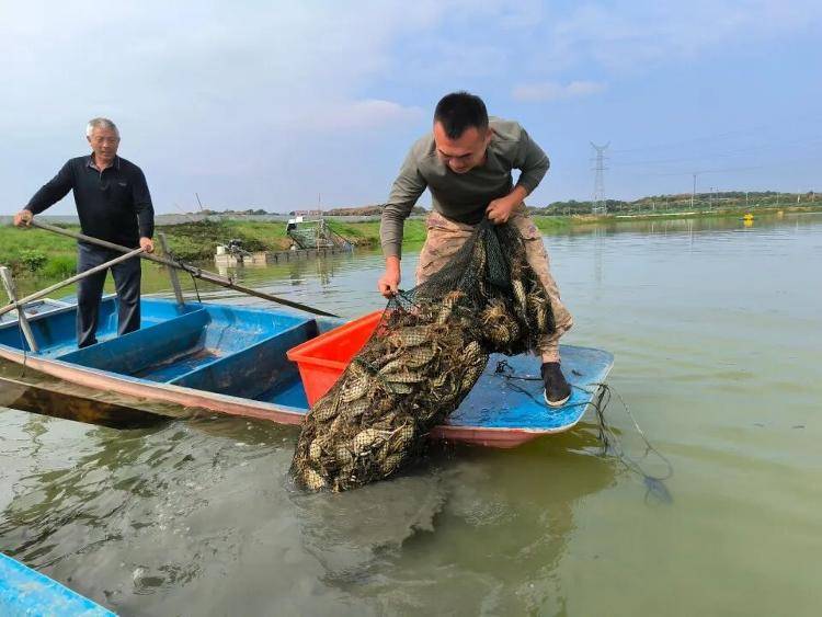 武汉江夏一地大闸蟹大量上市<strong></p>
<p>哪家银行理财产品</strong>，日产1000斤当天售完，每只螃蟹有自己的“身份证”，吃深海小黄鱼长大