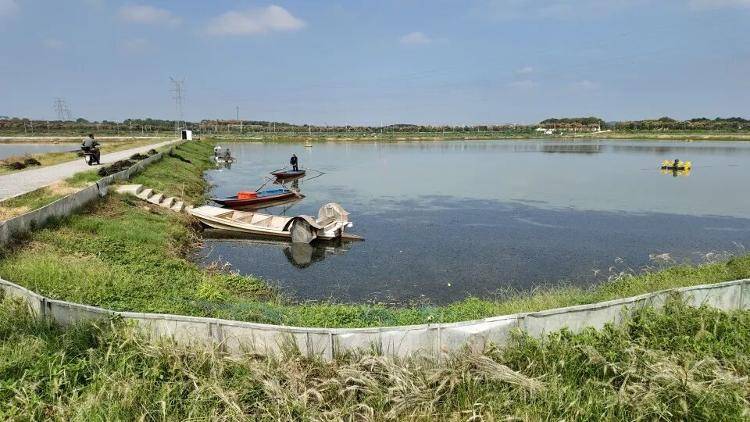 武汉江夏一地大闸蟹大量上市<strong></p>
<p>哪家银行理财产品</strong>，日产1000斤当天售完，每只螃蟹有自己的“身份证”，吃深海小黄鱼长大