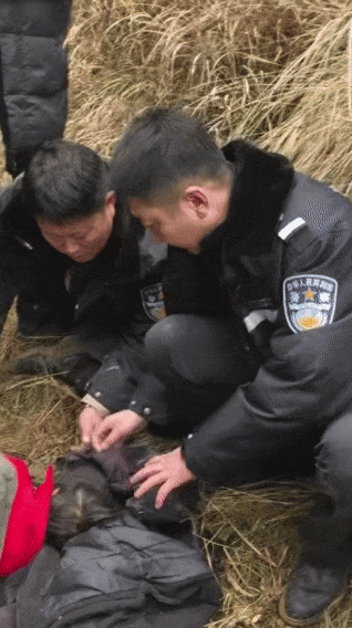 辽宁4岁女童称睡醒后自行下车<strong></p>
<p>高利理财</strong>，迷路后睡在草地，期间无人接触；其母发声