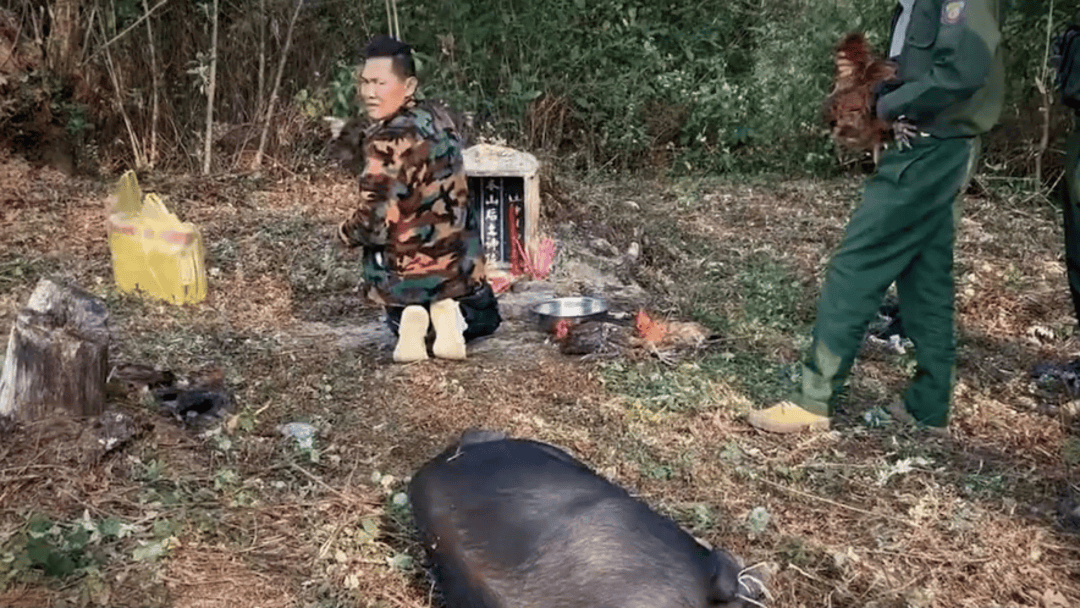 公安机关侦破缅北果敢徐老发犯罪集团专案<strong></p>
<p>高利理财</strong>，详情披露！