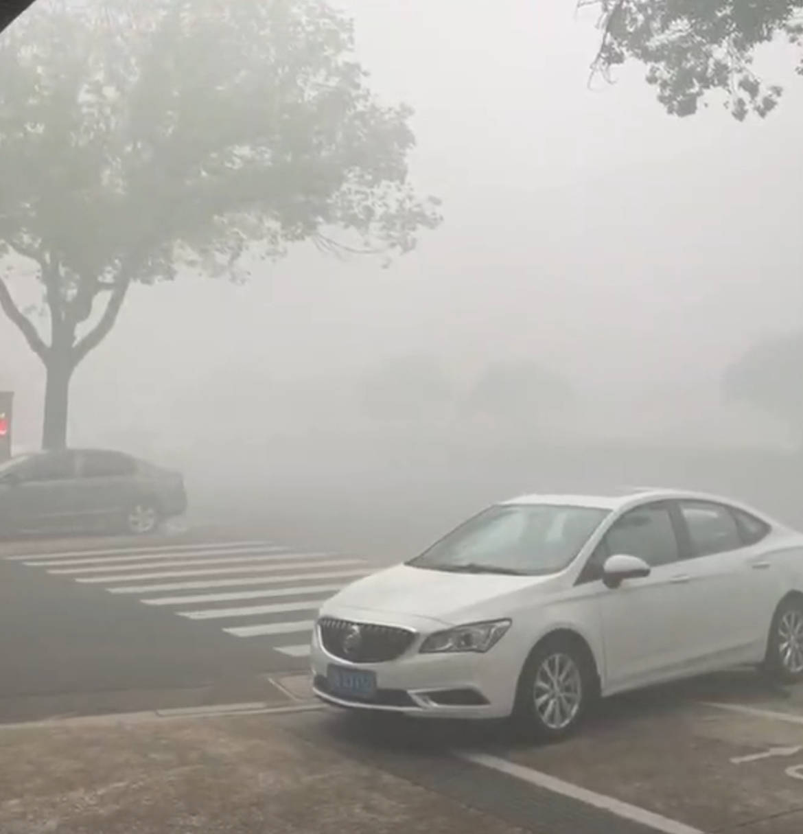 江苏一化工厂发生火灾<strong></p>
<p>理财7天</strong>，现场燃起冲天浓烟街道被烟雾笼罩，当地：将通报，未致人员伤亡