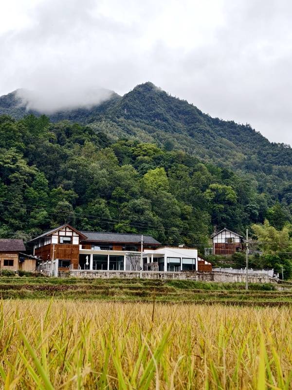推窗见梯田<strong></p>
<p>6万理财</strong>！梧桐山民宿：把日子过成诗