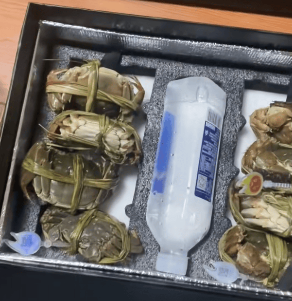 消费者花400元买到臭蟹客服建议蘸醋吃<strong></p>
<p>6万理财</strong>，“包退包赔”的售后执行严苛，网红蟹太太信任危机凸显，被协会除名屡遭行政处罚