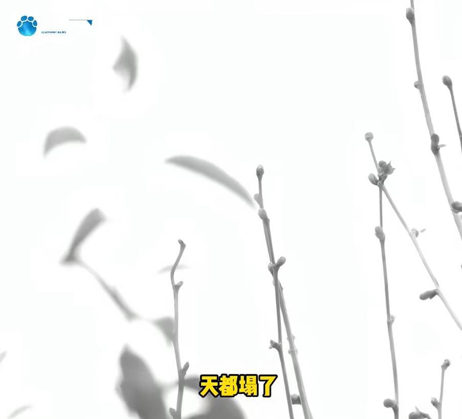 “天塌了<strong></p>
<p>河南理财</strong>，我一生都毁了”，男子称养了20年才发现儿子非亲生！前妻坚决否认