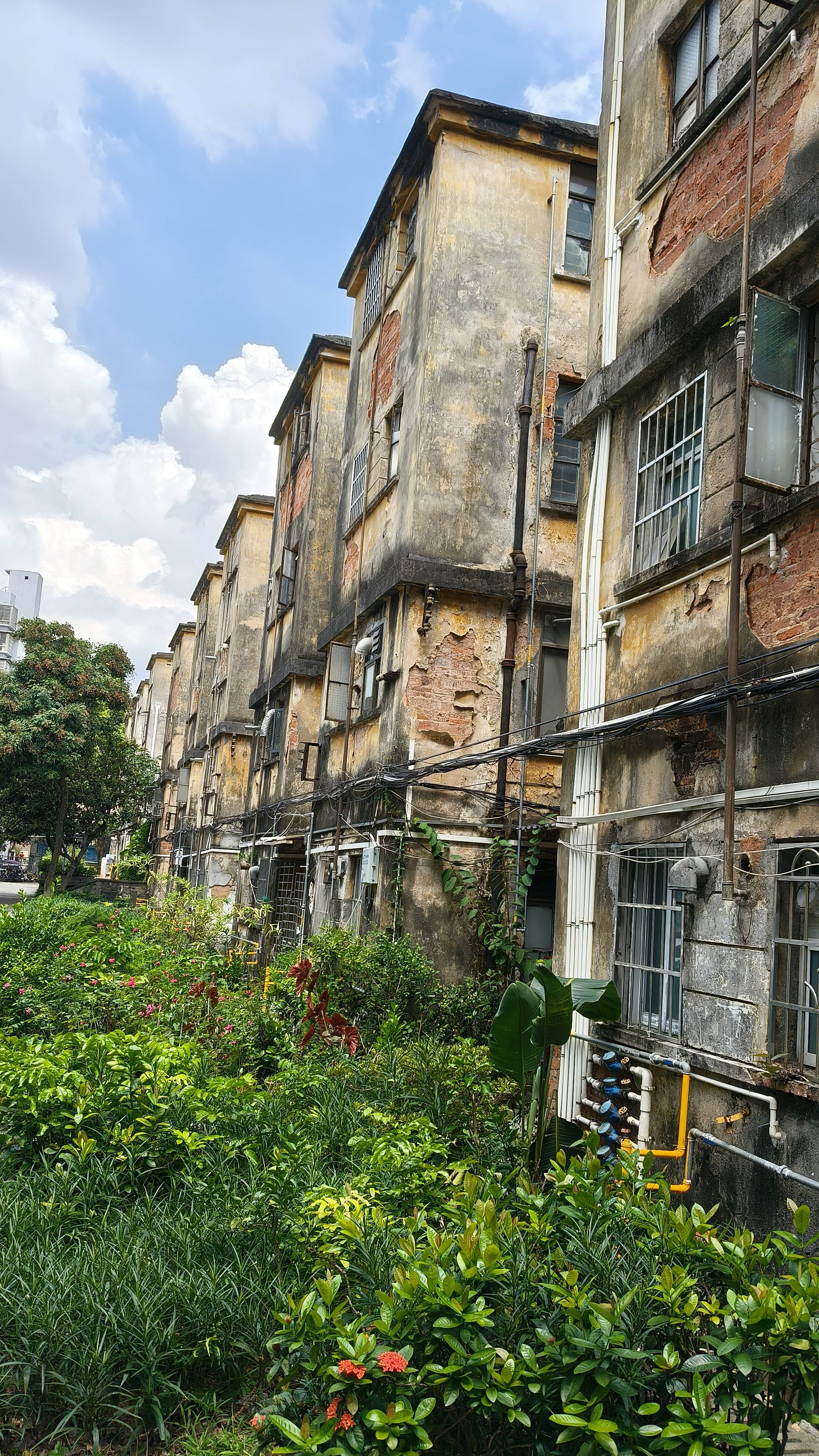 广州重典整治爆改乱建<strong></p>
<p>河南理财</strong>，让好房子更安全｜南方产业观