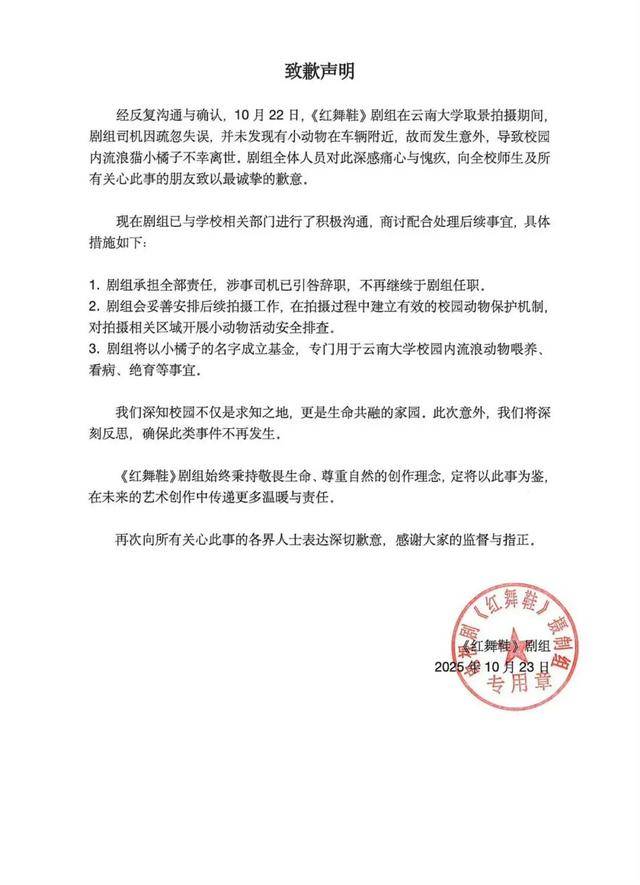 《红舞鞋》剧组在高校拍摄时撞死流浪猫<strong></p>
<p>河南理财</strong>，剧组凌晨致歉：涉事司机引咎辞职，将以小猫名字成立基金