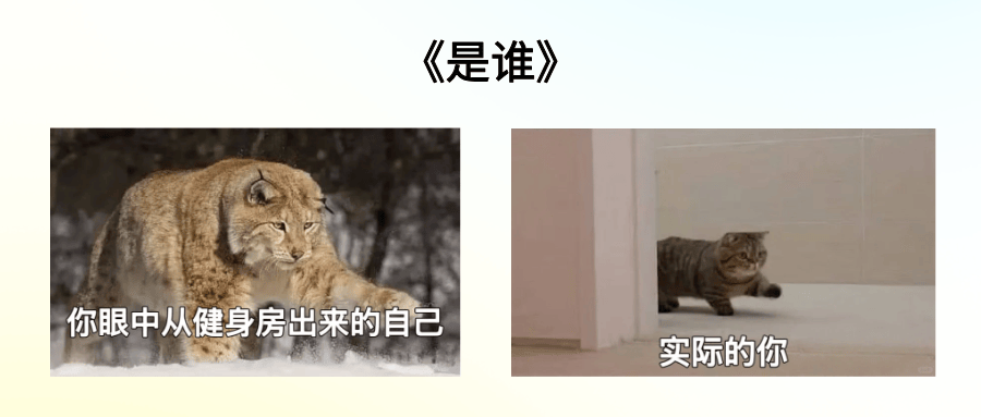 注意 | 运动时少了这一步<strong></p>
<p>河南理财</strong>，你的身体可能会“毁掉”
