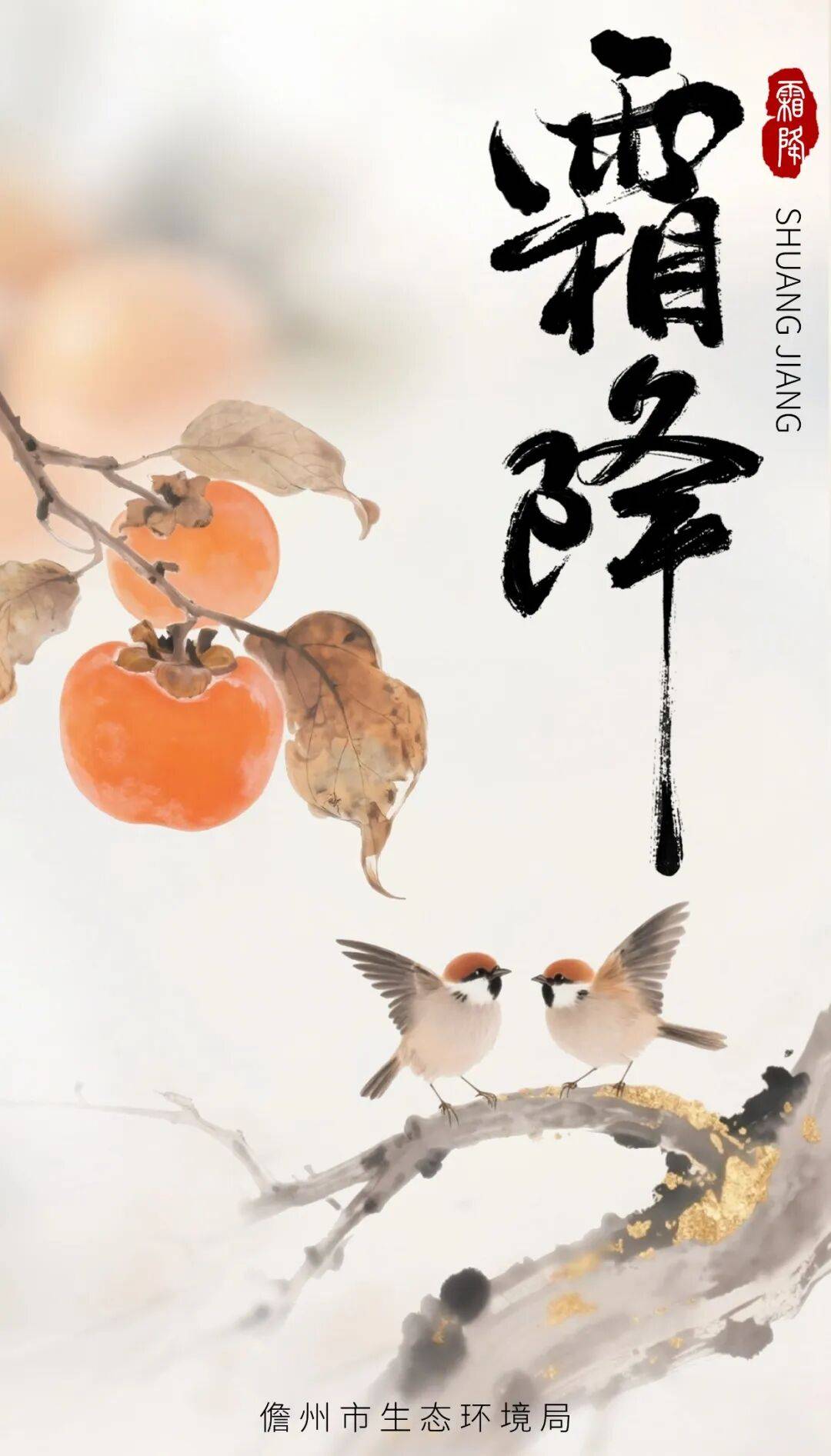今日<strong></p>
<p>河南理财</strong>，霜降