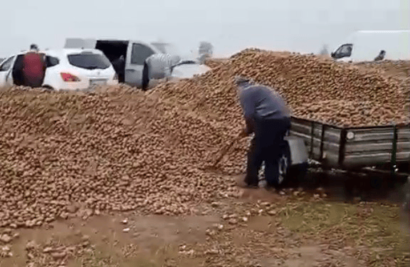 波兰68岁农民收获的150吨土豆被一夜搬空<strong></p>
<p>理财app下载</strong>, 只因帖子遭篡改