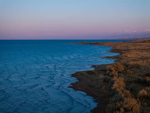 青年说 | 到中亚<strong></p>
<p>理财夜市</strong>，奔赴一场激动人心的“探秘”