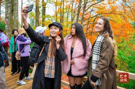 多图 ｜ 红叶遍山野 赏秋正当时 光雾山红叶进入最佳观赏期