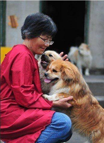 合肥卖房救助流浪狗的魏阿姨离世<strong></p>
<p>理财会议</strong>，病中仍然惦记着基地的600只流浪狗，工人：不敢相信世上还有这样执着的人